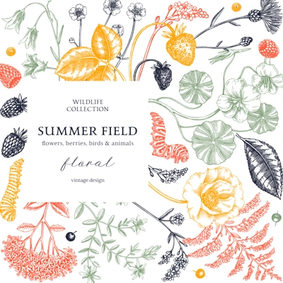 Summer background in color. Floral frame design in sketch style. Wildflowers botanical illustration. Hand-drawn field of flowers and insects for wedding invitation, decoration.